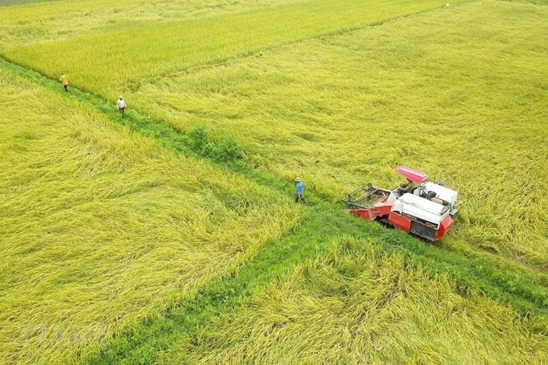 Chuyển đất nông nghiệp sang đất thổ cư tại Thanh Hóa