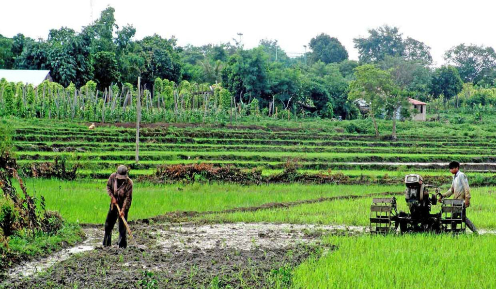 Dịch vụ tư vấn mức bồi thường thu hồi đất tại Thanh Hóa